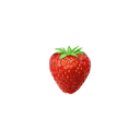 Berry