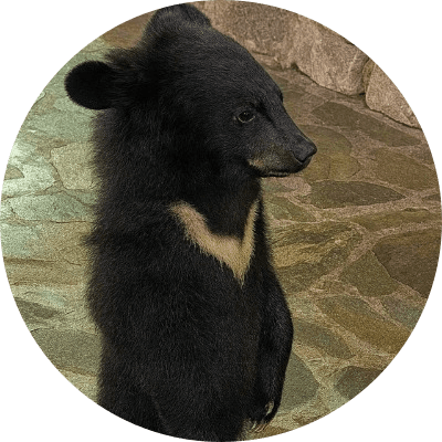 bichi logo