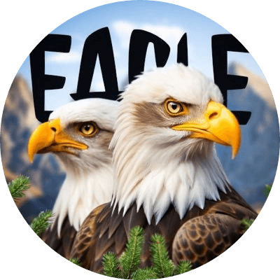 Big Bear Bald Eagle logo