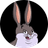 CHUNG