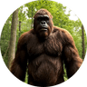 Bigfoot Vlogs