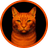 BILLI