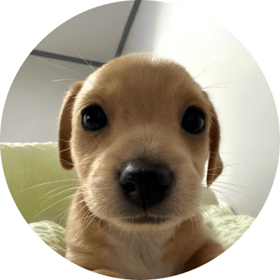 BILLY logo