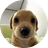 BILLY