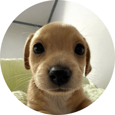 BILLY logo