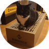 Binance Cat