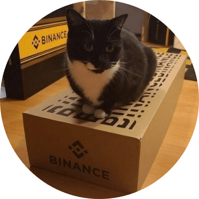Binance Cat logo