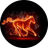 FireHorse
