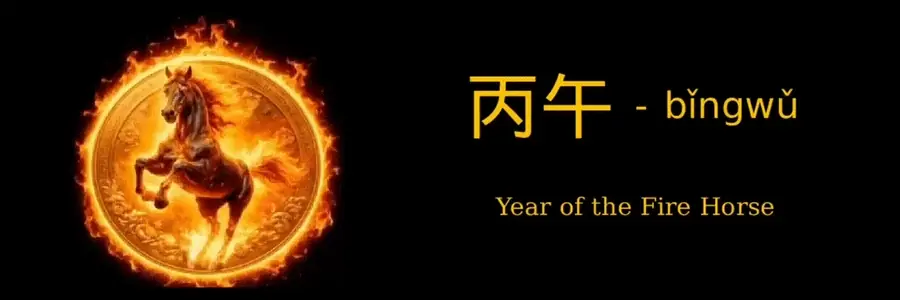 bǐngwǔ banner