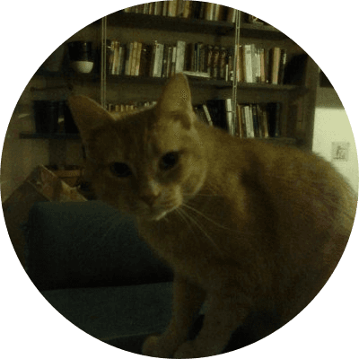 BITCOIN CAT logo