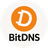 BitDNS
