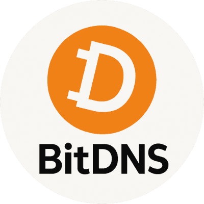 BitDNS logo