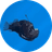 ANGLERFISH