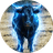 BlackBull