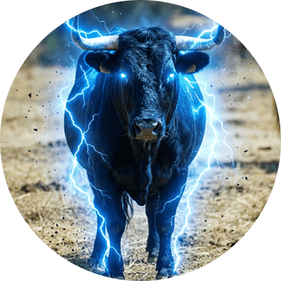 BlackBull logo