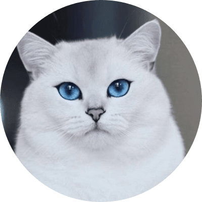blu logo
