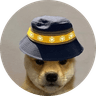 BNB DOGE