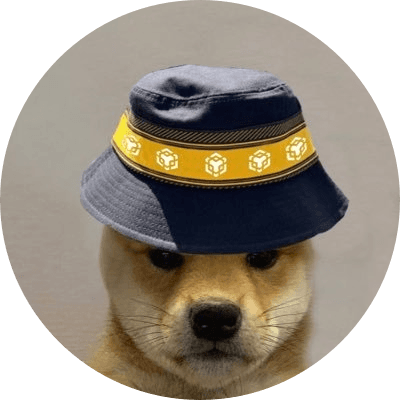 BNB DOGE logo
