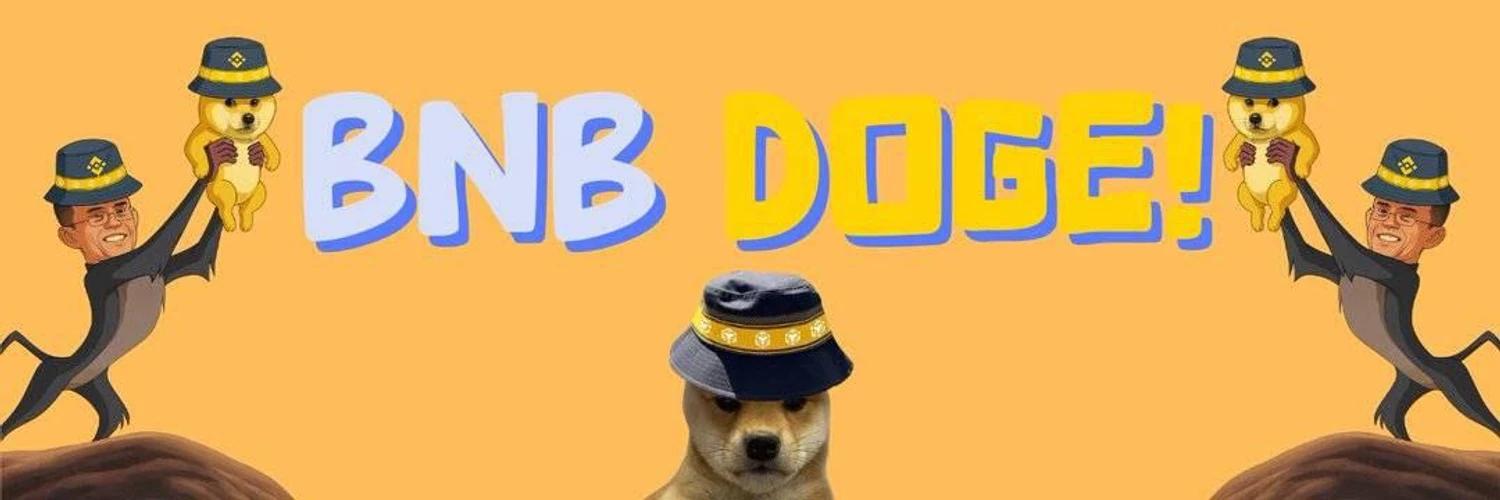 BNB DOGE banner