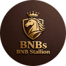 BNB Stallion