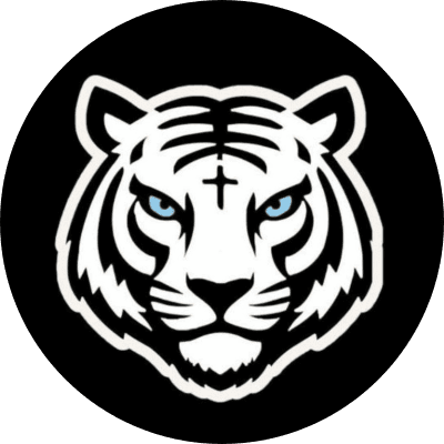 Bnb Tiger Inu logo
