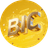 BIC