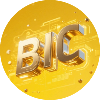 BNBbic logo