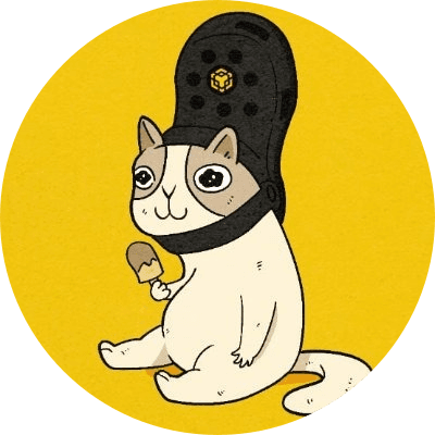 BNBcat logo