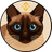 BNBCAT