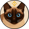 BNB'S CAT