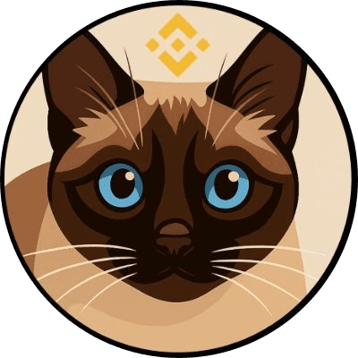 BNB'S CAT logo