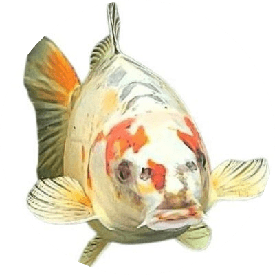 BOB logo