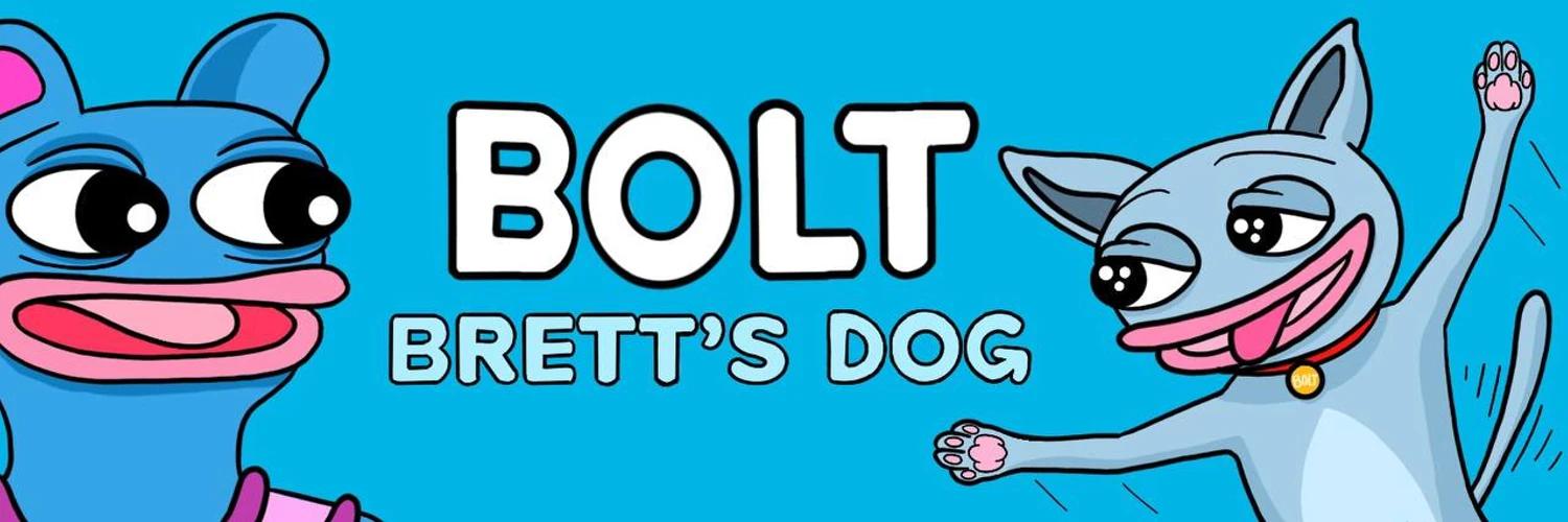 BOLT banner