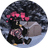 BONGA
