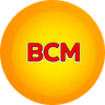 Bonk capital markets