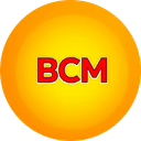 Bonk capital markets