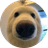 Boop