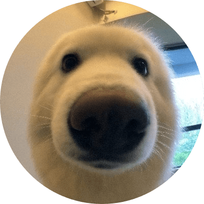 Boop logo