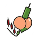 BottomChaser  COIN