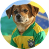 Brazil Official