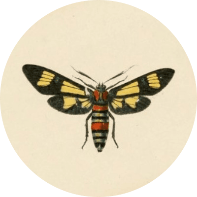 BrimFable logo