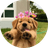 BUDDY