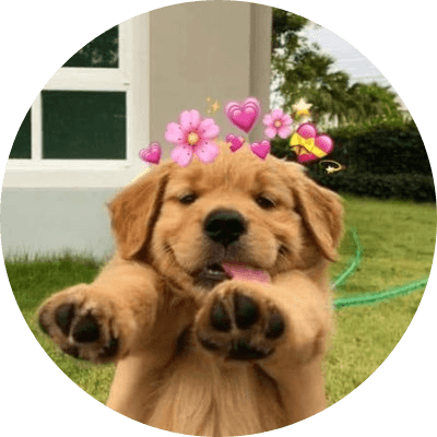 BUDDY logo