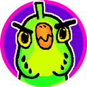 Budgie