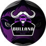 Bull Year Mascot