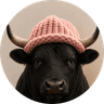 bullwifhat