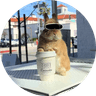 Bunnydayoff