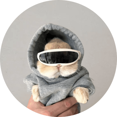 bunnywifshades logo
