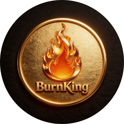 BurnKing logo