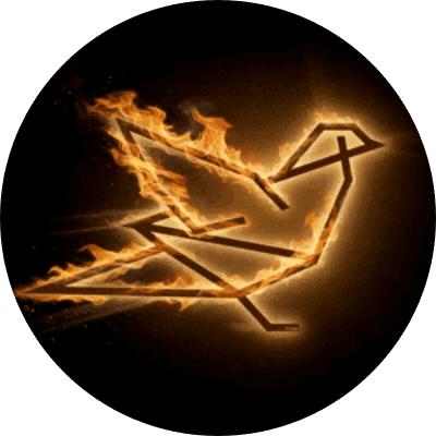 BurnPigeon logo